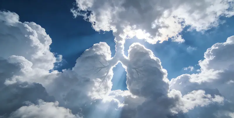 咸宁肺癌靶向120基因检测（组织）图片1