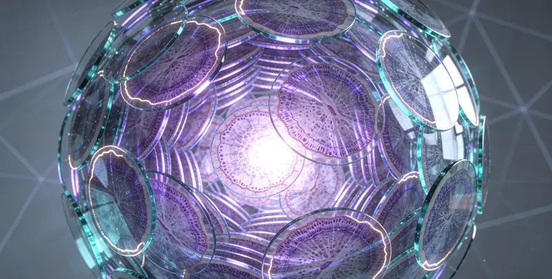 实体瘤78基因检测图4